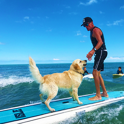 Dog surfing lesson